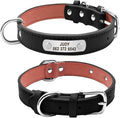Large Durable Personalized Dog Collar PU Leather Padded Pet ID Collars Customized for Small Medium Large Dogs Cat 4 Size Black M