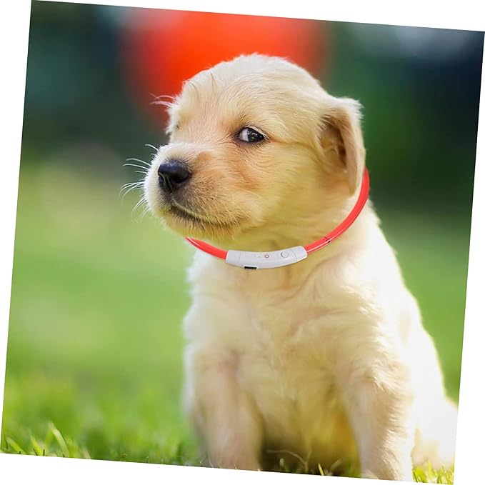 USB Rechargeable Dog Collar Light Flashing Pet Collar for Night Walking