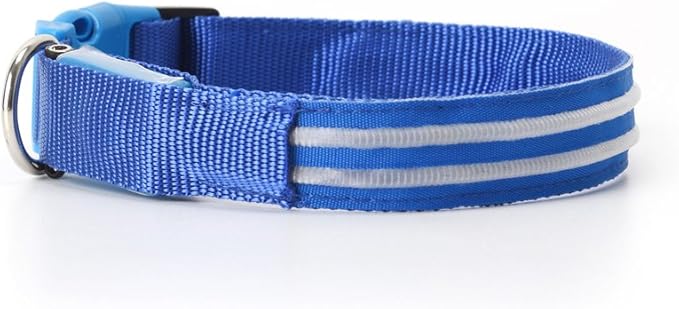 LED Dog Collar - USB Rechargeable for Night Safety(Neon Blue Color,Small Size)