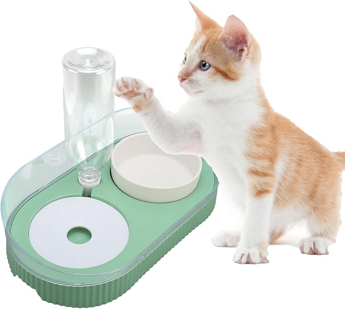 Elevated Dog Cat Bowls, Ceramic Water and Food Bowl Set with Automatic Waterer Bottle, 2 in 1 Cat Food Dispenser with Wet and Dry Food Bowl for Cats and Small Dogs Kitten Puppy(Green)