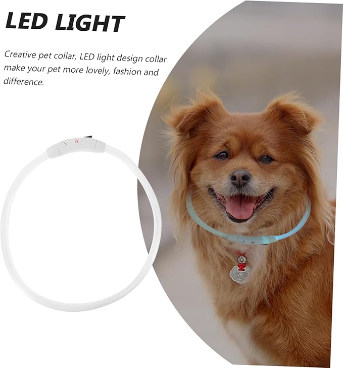 Housoutil 3pcs Led Dog Collar USB Rechargeable Glowing Pet for Night Walking Lightweight and Stylish