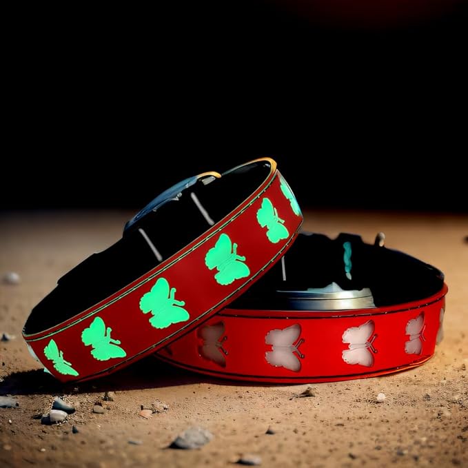 USB-C led Light up Dog Collar, 3D Design Comfortable and Soft Material,Multicolored Lighting，Night Dog Collar (BT-RED, S(11.8-15.7"))