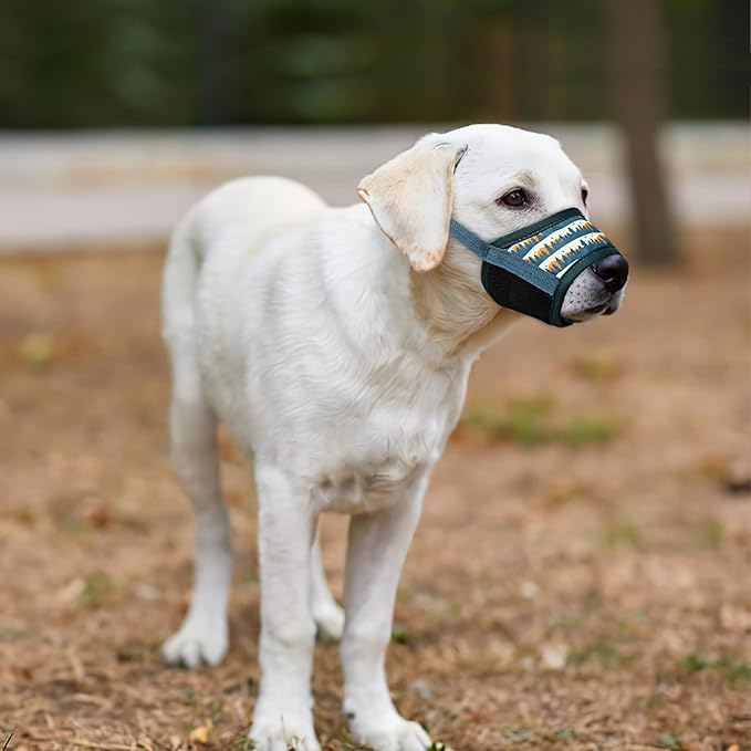 HEELE Dog Muzzle,Soft Nylon Muzzle Anti Biting Barking Chewing,Air Mesh Breathable Drinkable Adjustable Loop Pets Muzzle for Small Medium Large Dogs 4 Colors 4 Sizes (P-Green Valley, L)
