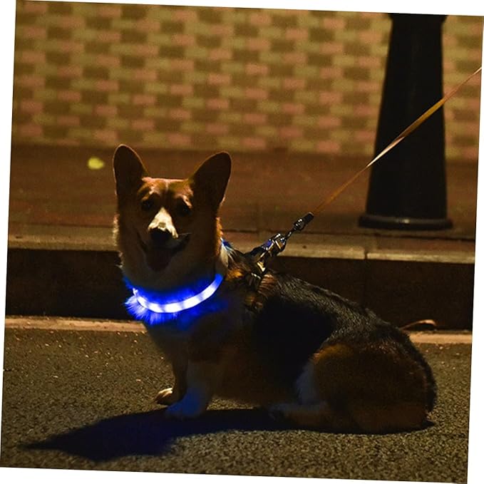 Housoutil 3sets USB Rechargeable Pet Collar Led Dog Collar for Night Safety Multiple Flashing Modes Fit for Your Pet Comfort