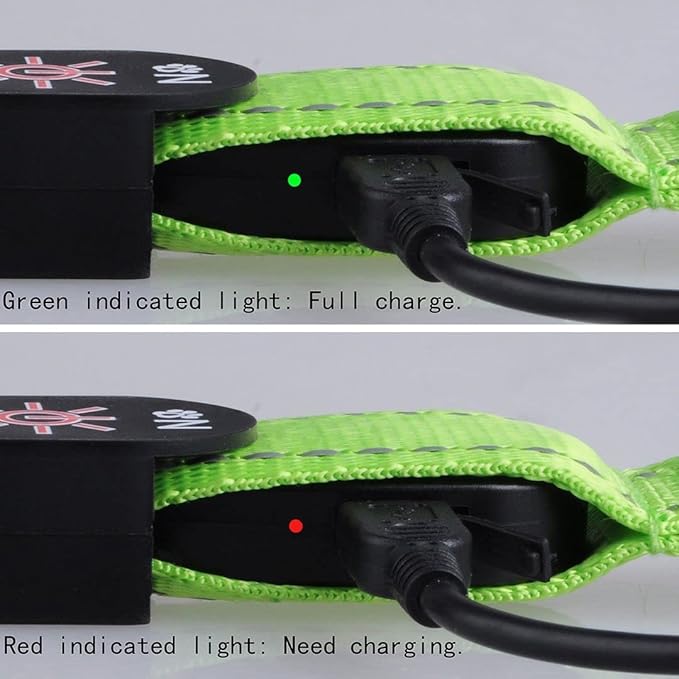 Pet Cat Dog Led Collar Flash Light Removable USB Rechargable with Wire Nylon Material for Night Walking Safety Warning (Green M)