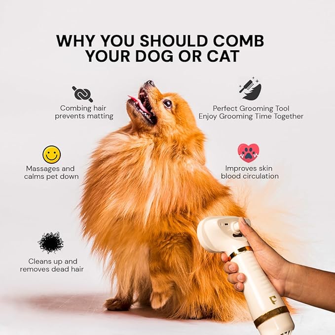 Pet Steam Brush Grooming Dryer for Dogs & Cats – 3-in-1 Grooming Tool with Gentle Steam, Low Noise 600W Motor, Deshedding, Drying & Fur Fluffing for All Coat Types