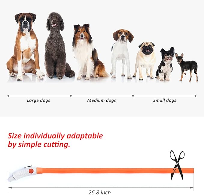 BSEEN Light Up Dog Collar, Glowing LED Dog Collar Rechargeable Cuttable Lighted Puppy Collar Safety Dog Lights Makes Your Beloved Dogs Be Seen at Night(Orange)