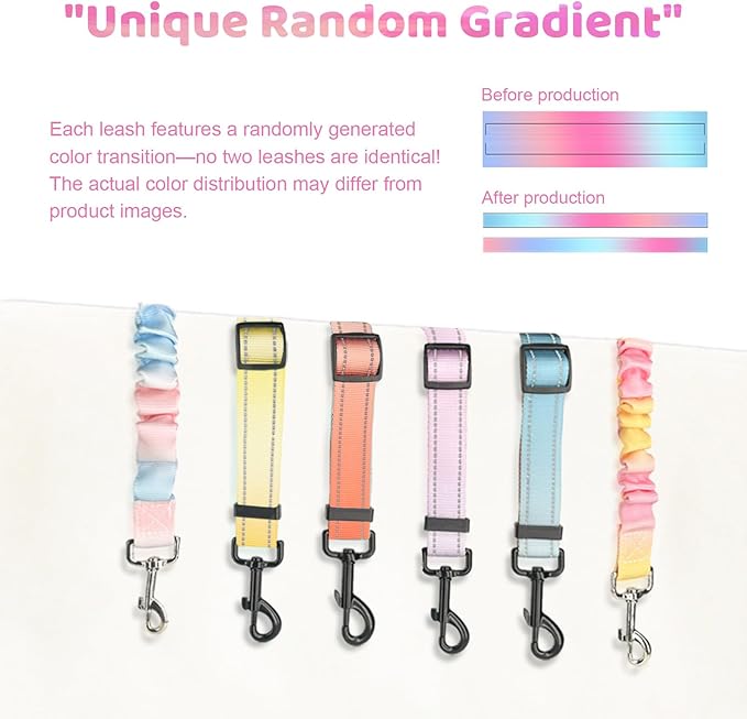 Double Dog Leash for Two Dogs - Gradient Color No Tangle Swivel Dog Coupler with Heavy Duty Clip, Size Adjustable Bungee Leash Attachment for Small, Medium, Large 2 Dogs, Style 4