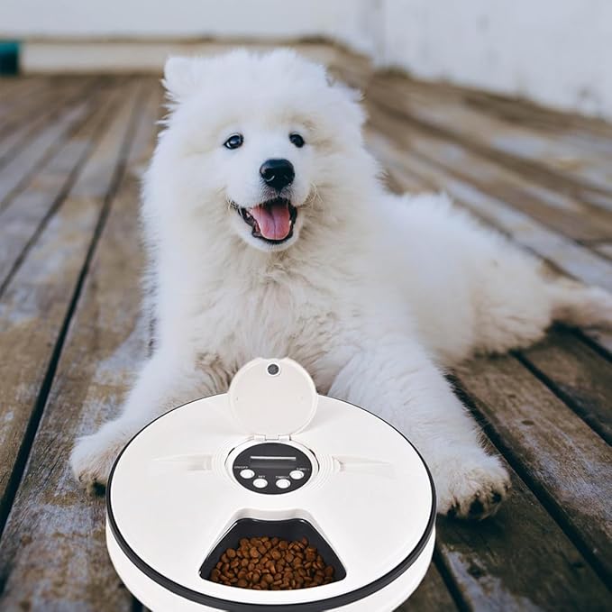VICASKY Automatic Pet Feeder with Timer and 6-Compartment Feeding Bowl, Intelligent Dry Food Dispenser for Dogs and Cats, Gray-White Pet Feeding Supplies for Scheduled Meals