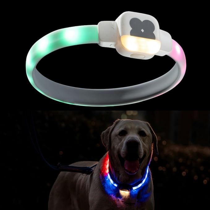 Light Up Dog Collar for Night Walking, USB Rechargeable LED Dog Collar with 6 Glow Modes, Adjustable, Reusable, Durable, Keep Safe in Dark for Small Medium Large Dogs (White, S)