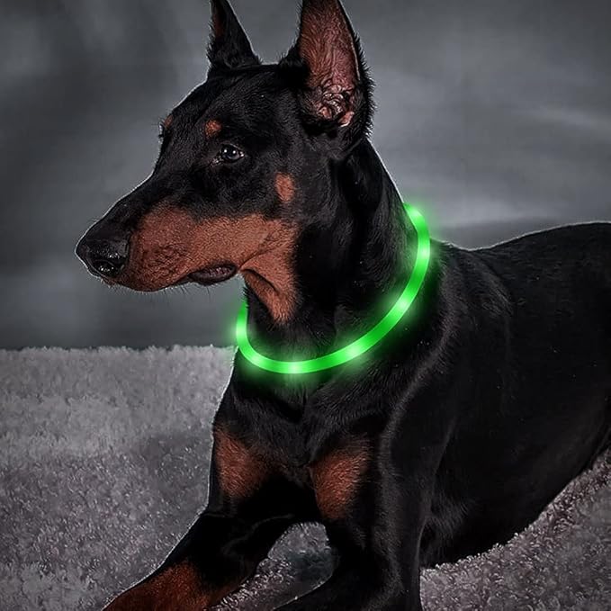 BSEEN Light Up Dog Collars - Silicone LED Dog Collar, Cuttable Lighted Puppy Collar, Glowing Dog Walking Lights for Small Medium Large Collars (Green)