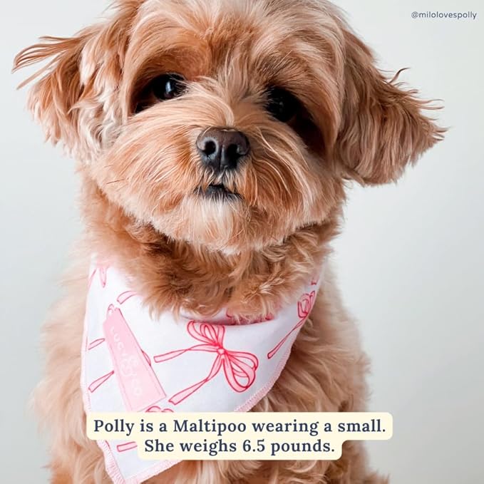 Lucy & Co. Ballet Bows Bandana - Durable Comfortable Dog Bandana - Machine Washable - Designer Puppy Accessory - Small White & Pink Bows