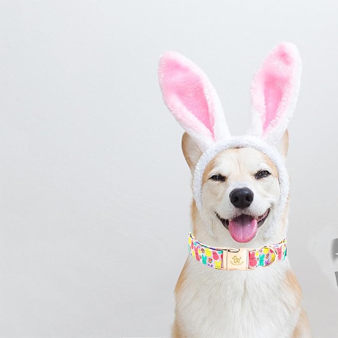 Elegant little tail Easter Dog Collar, Bunny Print Pet Collar Durable Cotton Dog Collars Girl or Boy Metal Collars Holiday Pet Gift Adjustable Dog Collar for X-Large Dogs