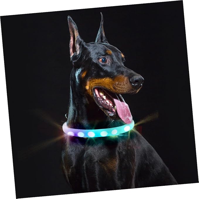 Kisangel USB Charging LED Dog Collar, Waterproof Night Luminous Pet Collar Flashing Light for Safe Night Walking