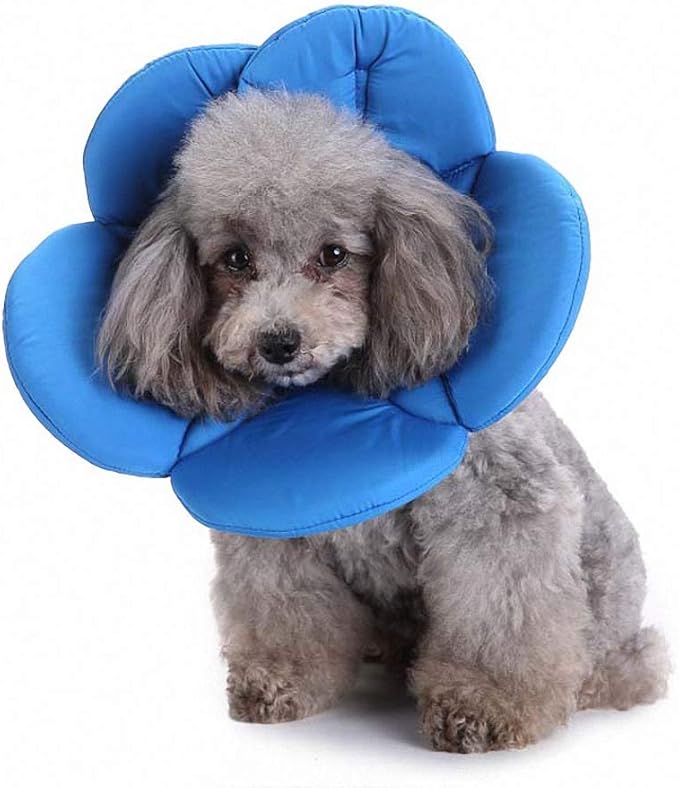 Lakke Flower Colorful Pet Dog Necklace Collar Various Pattern Shape Puppy Playing Collars for Small Dog Blue M
