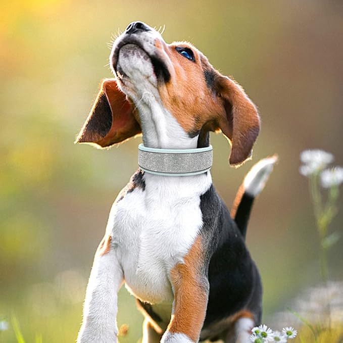Crystal Reflective Dog Collar Gilter Rhinestone Dog Soft Collars with Buckle Dimond Pet Puppy Collars for Small Medium Large Dog Blue M