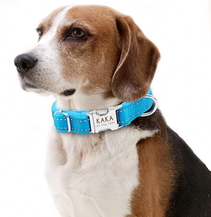 Dog Collar Personalized Reflective Large Dog Collars Nylon Adjustable Costomized Collar for Small Medium Big Dogs Pet Pitbull Blue S