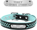Customized Dog Collars Adjustable Padded Leather Personalized Pet Name ID Collar Free Engraving for Small Medium Large Dogs Cats Blue M