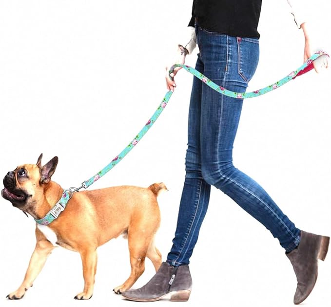 Personalized Dog Collar Leash Nylon Print Small Dog Collars and Lead for Small Medium Large Pet Pitbull German Shepherd Puppy Baby Blue Flower L S
