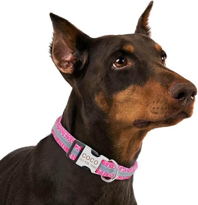 Personalized Pet Dog Collar Reflective Custom Puppy Collars Pitbull Large Dog Collar for Small Pets Chihuahua German Shepherd Pink S