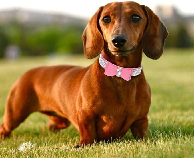 Rhinestone Dog Collar, Cute Dazzling Sparkling Soft Suede Leather Adjustable Pet Dog Cat Collar Crystal Diamond for Puppy Small Medium Large Dogs (S:26-32cm, Pink-1)