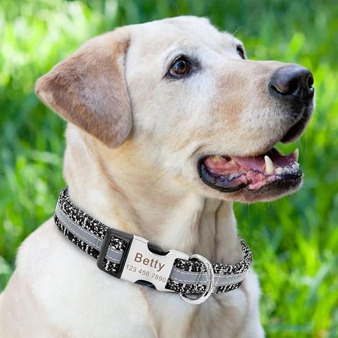 Personalized Pet Dog Collar Reflective Custom Puppy Collars Pitbull Large Dog Collar for Small Pets Chihuahua German Shepherd Black M