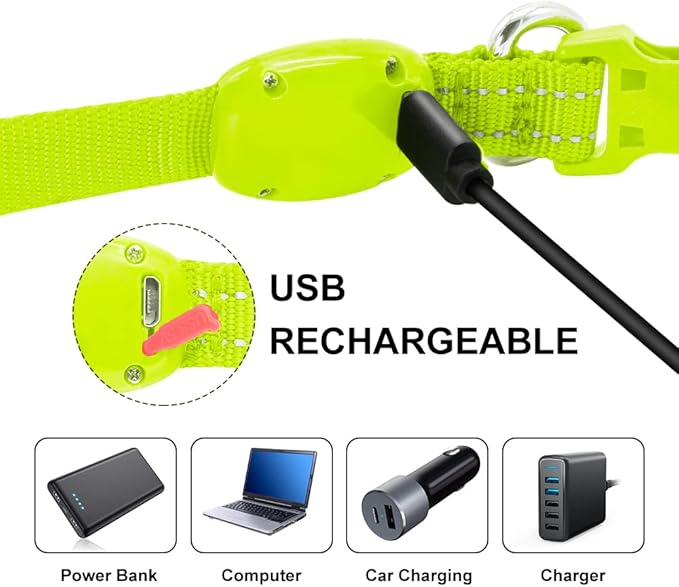 Light Up Dog Collar for Small Dogs - LED Dog Collar Rechargeable Adjustable Puppy Collars, Glow in The Dark Dog Lights for Night Walking（X-Small, Green）
