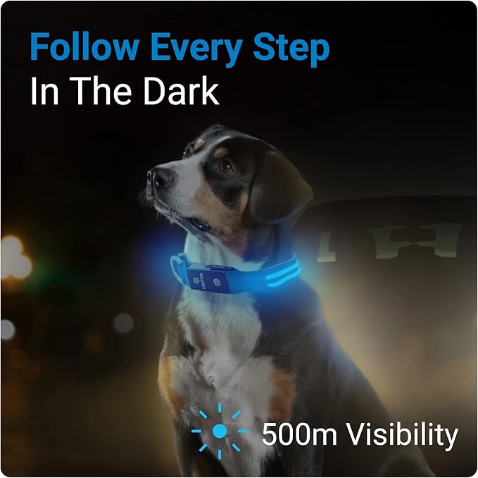 Tractive LED Light Up Dog Collar USB Rechargeable Waterproof (Blue), Large