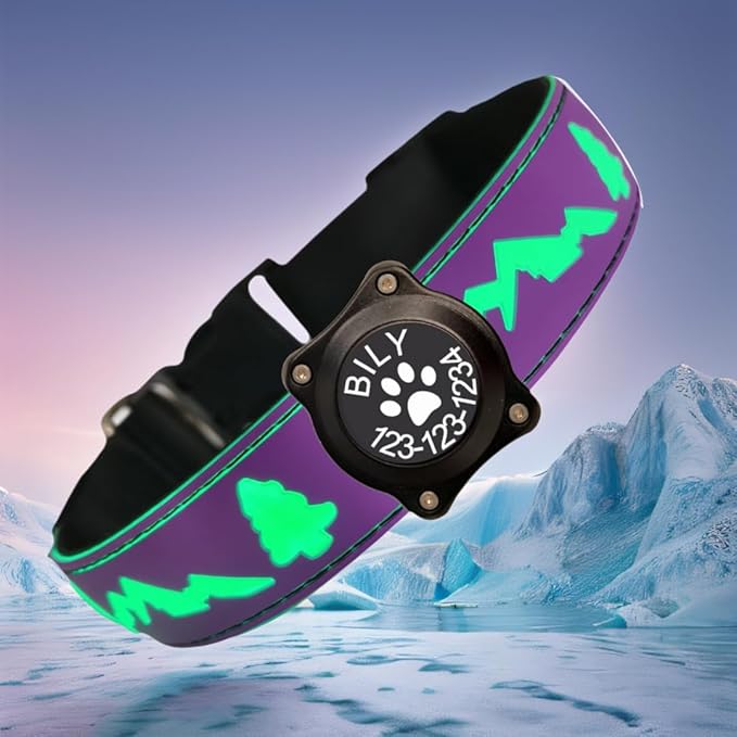 Personalized USB-C led Light up Night Dog Collar for Black Dog with Waterproof airtag Holder,Xmas Hallowmas Dog Collar (Purple, L(15.7-19.7"))