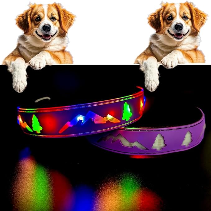 LED Dog Collar, 15 Light Modes, USB-C Rechargeable, Silicone Material, Adjustable Size, (Purple Pro, S(7.87-11.8"))