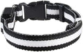 LED Dog Collar Safety Collar USB Rechargeable Adjustable Glowing Pet Collar Basic Dog Collars Reflective Light Up Collars for Your Dogs 8 Colors with 3 Sizes