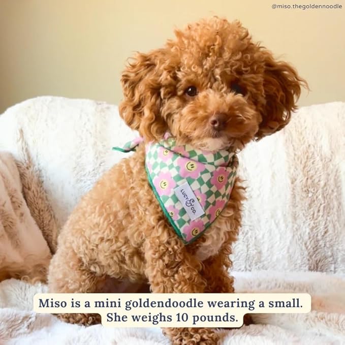 Lucy & Co. Making Rainbows, Cute Reversible Dog Harness Walking Halter - Best Designer Pet Harnesses for XS - XL Dogs - Padded Adjustable Vest for Easy Walking (Small)