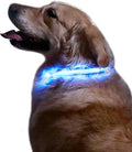 Dog Collars Light Up Rechargeable for Night Walking,Durable LED Dog Collar,Adjustable Lighted Dog Collar for Small Medium Large Dog