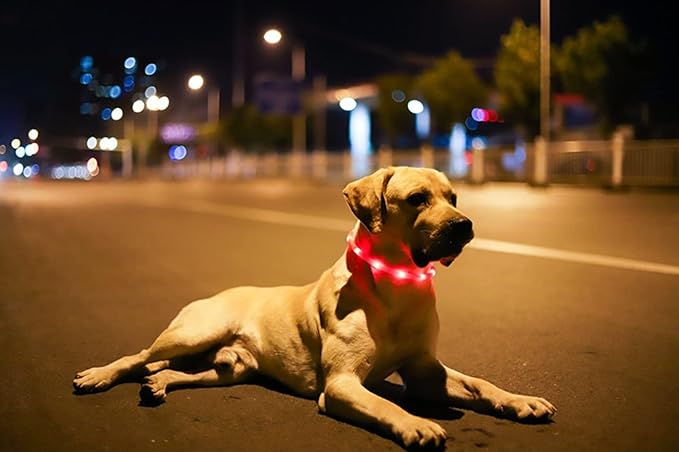 LED Dog and Cat Collar, USB Rechargeable Glowing Pet Collar, Cuttable Dog Necklace Safety Light for Dogs and Cats - Available in 7 Colors (Red)