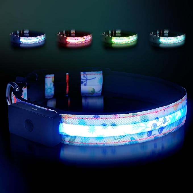 LED Dog Collar - Brightest Light Up Dog Collars - 1,600 Feet of High Visibility - Magnetic Charging - Dog Lights for Night Walking, Flower Extra Large