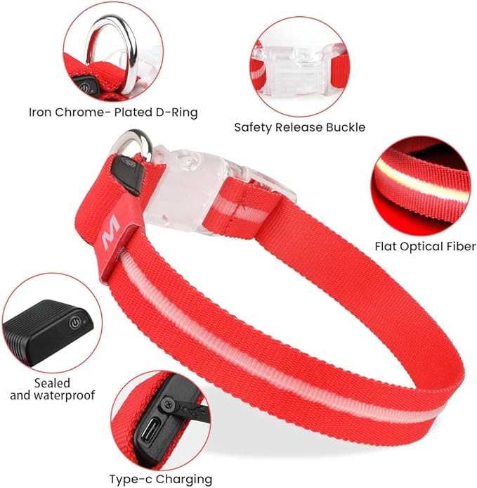 Cherry Red Small LED Dog Collar | Night Walks just got Safer | Ultra-Bright LED Collar | USB Rechargeable | Waterproof | Adjustable & Durable | 4 Light Modes | Keep Your Pup & Yourself Safe!