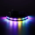 RUXAN Light Up Dog Collar,Dog Lights for Night Walking,LED Collars Waterproof,Glow Dog Collars Rechargeable,Dog Collars Light for Small,Medium,Large Dogs (Large,Purple)