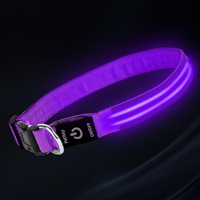 PetIsay Dog Light up Collar for Night Walking - High Visibility LED Dog Collar - Rechargeable - Waterproof - Reflective - Adjustable Lighted Glow Collars(Purple,Large)