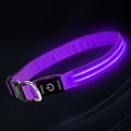 PetIsay Dog Light up Collar for Night Walking - High Visibility LED Dog Collar - Rechargeable - Waterproof - Reflective - Adjustable Lighted Glow Collars(Purple,Medium)