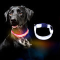 MANON ROSA LED Dog Collar USB Rechargeable Light Up Dog Collar Adjustable Nylon Soft Mesh Safety Glowing Collar for Small Medium Large Pet Dogs Cats-Nighttime Accessories (White,Large)