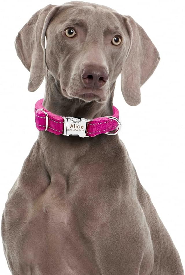 Dog Collar Personalized Reflective Large Dog Collars Nylon Adjustable Costomized Collar for Small Medium Big Dogs Pet Pitbull Rose Red L
