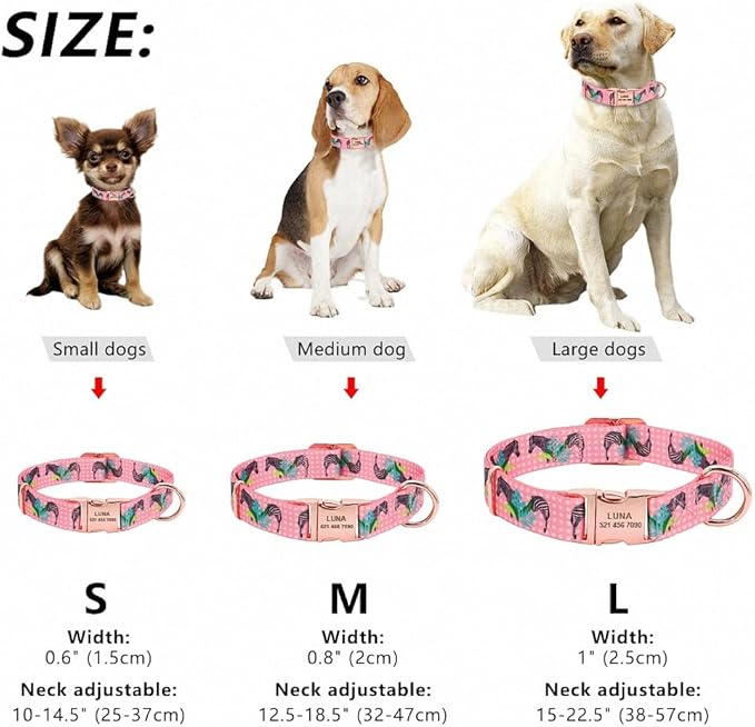 Personalized Dog Collar Custom Puppy Pet Collar Pitbull Collars Pets Acessorios Products Small Dog Collar for Medium Large Pet Green M