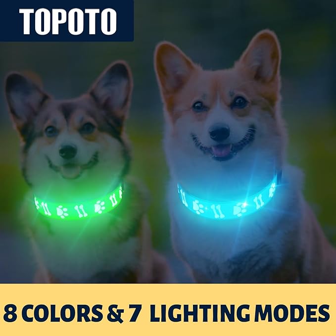 Light Up Dog Collar, Adjustable LED Dog Collars 15-in-1 Lighting Modes Rechargeable Night Walk Safety Collar for Small Dogs, Black