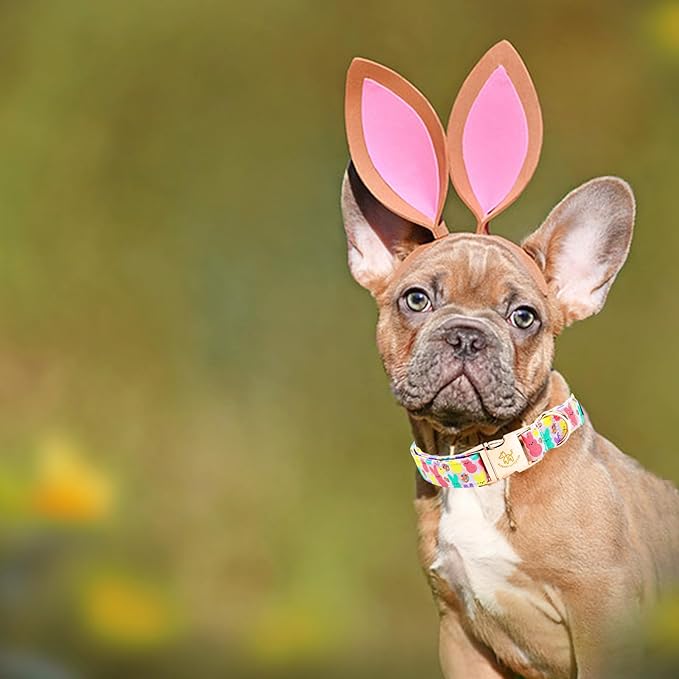 Elegant little tail Easter Dog Collar, Bunny Print Pet Collar Durable Cotton Dog Collars Girl or Boy Metal Collars Holiday Pet Gift Adjustable Dog Collar for Small Dogs