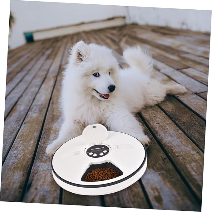 Automatic Pet Feeder Timer Food Dispenser for Dogs and Cats Six Design Easy to Material Grey
