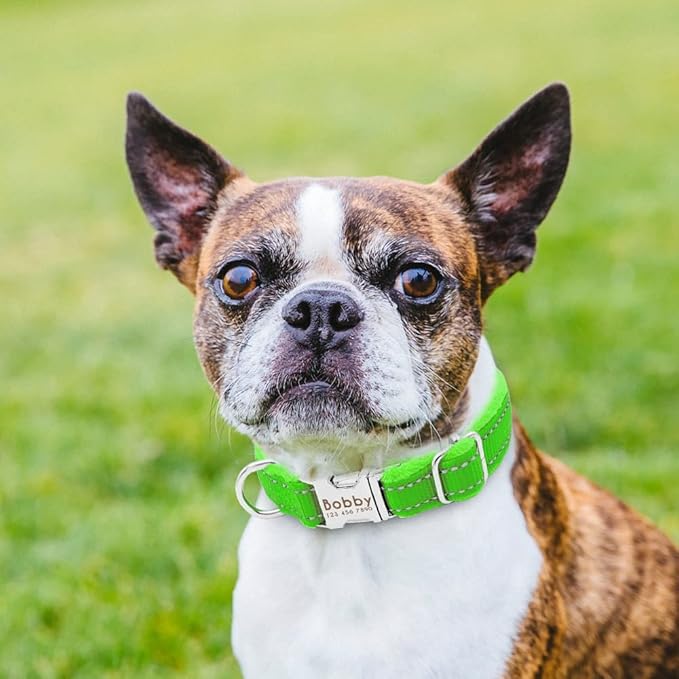 Dog Collar Personalized Reflective Large Dog Collars Nylon Adjustable Costomized Collar for Small Medium Big Dogs Pet Pitbull Green S