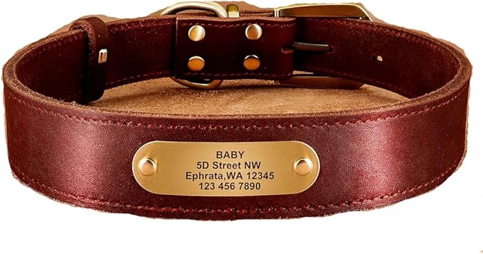 Real Leather Dog Collar Leash Set Personalized Genuine Leather Dog Pet Collars Leashes Custom for Small Medium Large Dog Pitbull red Collar S