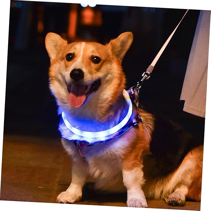 VICASKY 1set USB Rechargeable Night Glowing Led Dog Collar Cuttable Pet Collar for Safety Comfortable Wear for Outdoor Use