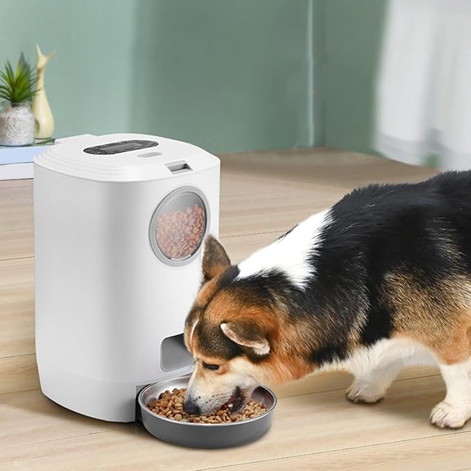 Smart Automatic Pet Feeder with Voice Recorder Programmable 4-Meal Dry Food Dispenser Suitable for Dogs and Cats Household Smart Pet Feeding Bowl