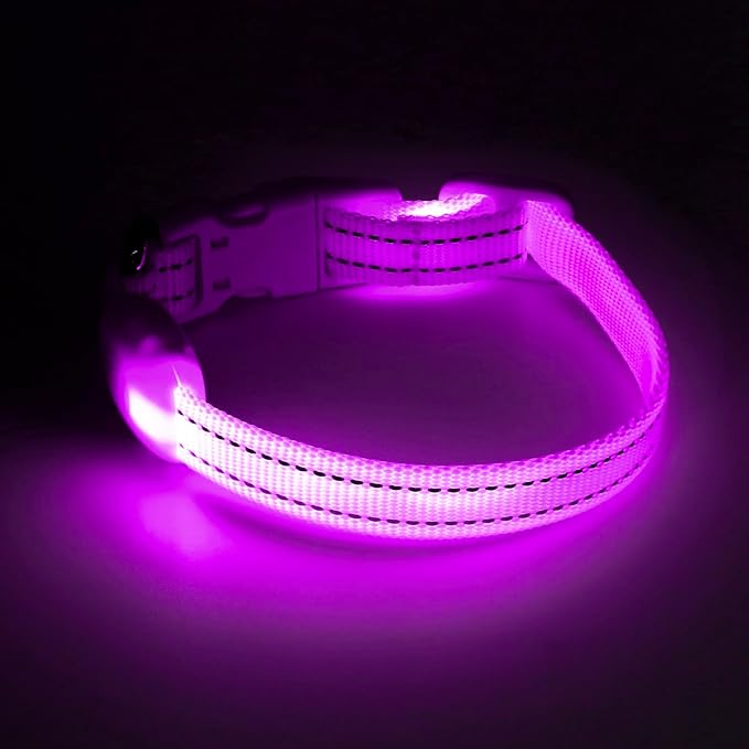 Light up Dog Collar for Small Dog,Vizpet XS Adjustable Size Nylon Collar USB Rechargeable Bright Safety Pet Collar for Cats Dogs (Purple)